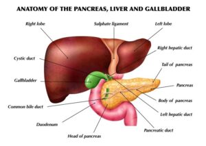 Best Laparoscopic Cholecystectomy Surgery In ahmedabad : Dr. Hamik Chandra Patel ​